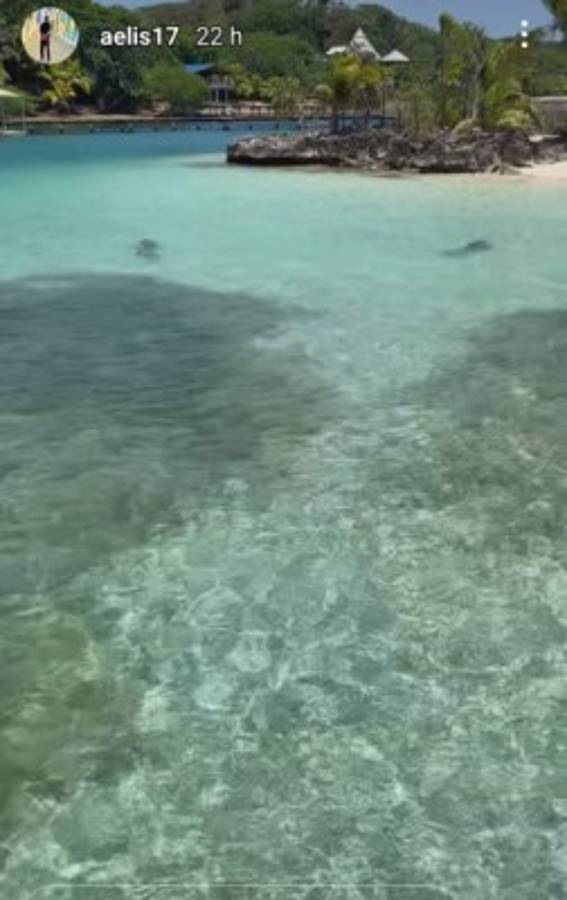 ¡Nadando con delfines! Así disfruta Alberth Elis en Roatán antes de sumarse a la Selección de Honduras