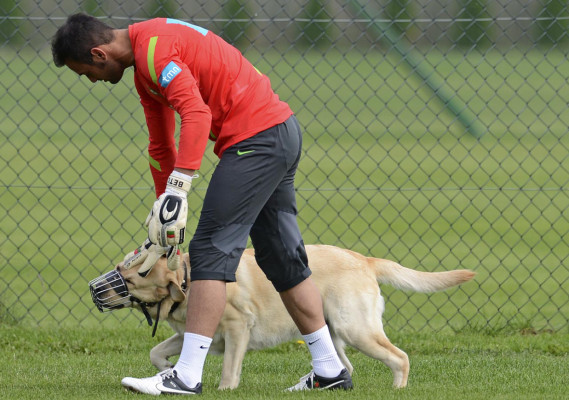 La Eurocopa en imágenes
