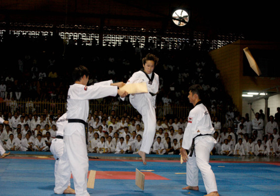 Espectacular exhibición de Taekwondo