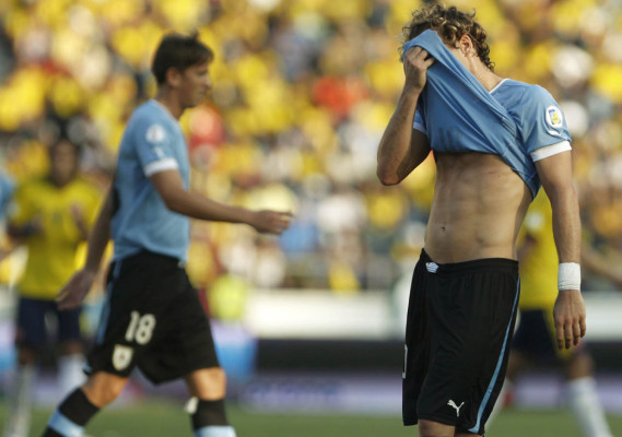 Lo mejor de la eliminatoria Sudamericana rumbo a Brasil 2014.