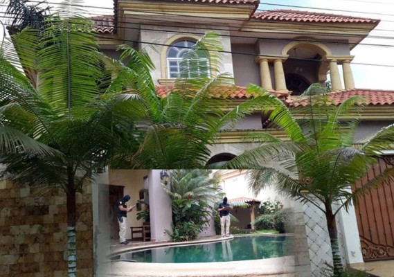 RESUMEN DE NOTICIAS: Decomisan mansión a dueño de autolote New Orleans