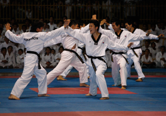 Espectacular exhibición de Taekwondo