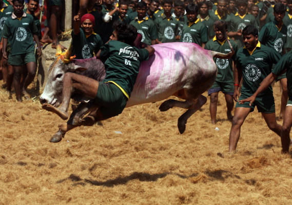 La mejores imágenes del día