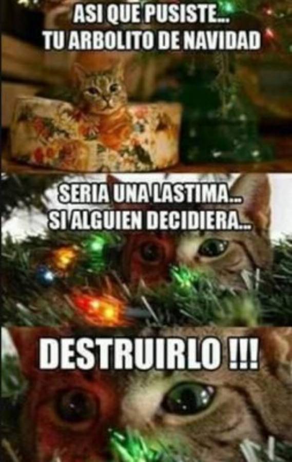 Desde el arbolito hasta lo gordo que puedes estar en enero: Los mejores y divertidos memes de la navidad 2019