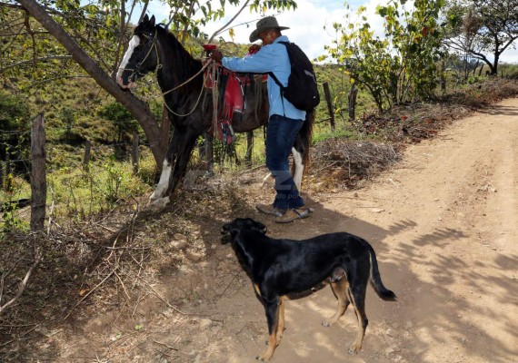 Donis Escober, ganadero: de sombrero y buen jinete; cambió la pelota por el ordeño de vacas