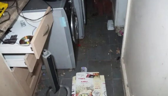 Youtuber se cuela a la mansión de un crack y se lleva tremenda sorpresa: una plantación industrial de marihuana