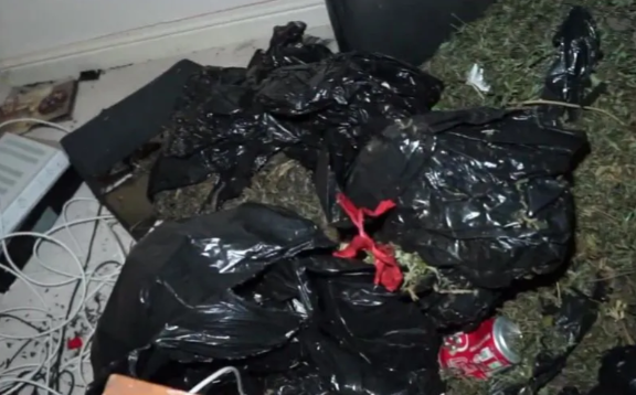 Youtuber se cuela a la mansión de un crack y se lleva tremenda sorpresa: una plantación industrial de marihuana