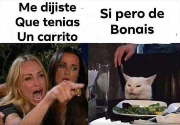 Los mejores memes del gato en la mesa y la mujer gritando, los equipos de Honduras no se salvan