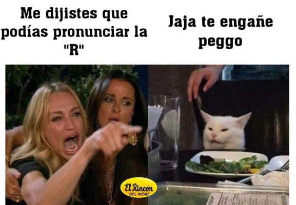 Los mejores memes del gato en la mesa y la mujer gritando, los equipos de Honduras no se salvan