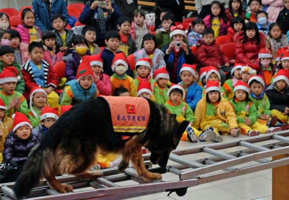 Las mejores imágenes de Navidad por el mundo