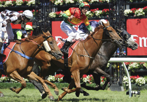 Actividad deportiva mundial .