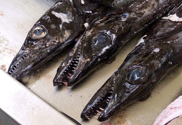 ¡Bellezada! Así el nuevo hogar del hondureño Bryan Róchez en Portugal