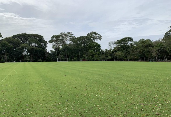 ¡Una mesa de billar! Es considerada como una de las mejores canchas de grama natural en San Pedro Sula