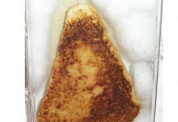 Los objetos más raros puestos a la venta en Internet