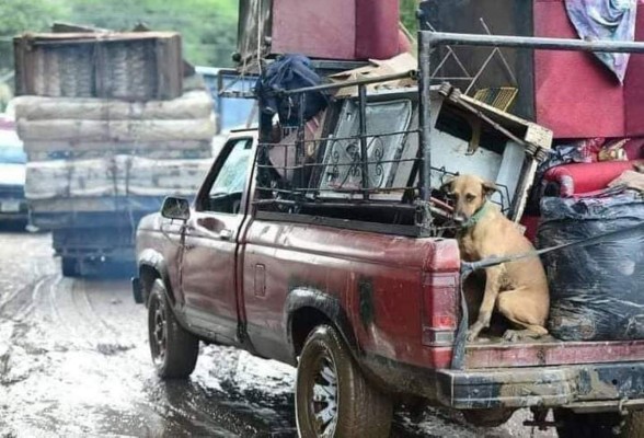 Ciudadanos de La Lima evacúan la ciudad ante llegada del huracán Iota este lunes