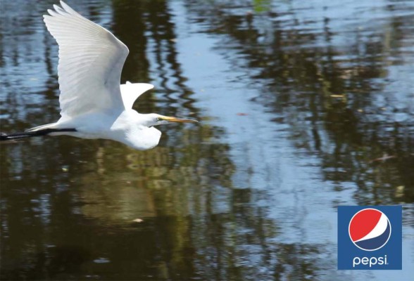 El Honduras Open se pone emocionante y disputado en la segunda ronda