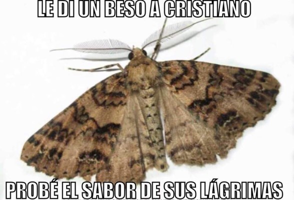 Los mejores memes que dejó la final de la Eurocopa entre Francia y Portugal