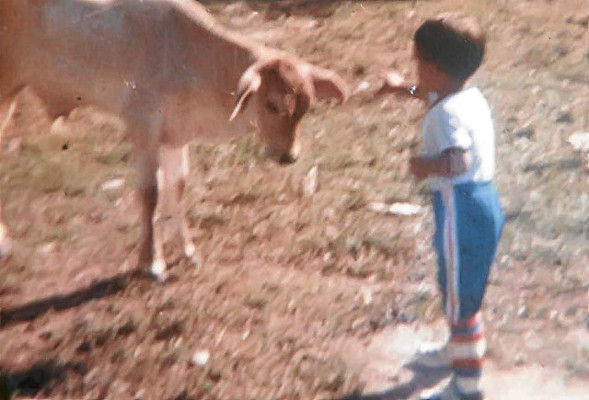 Postales para mamá.