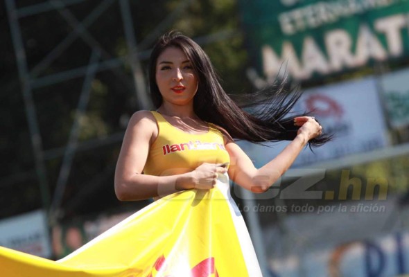 ¡DE INFARTO! Las fotos más atrevidas e inadvertidas de las edecanes de Liga Nacional&nbsp;&nbsp;