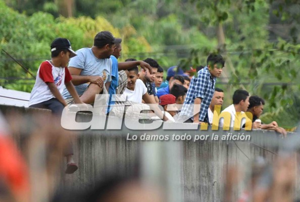 Sangre, abejas, chicas lindas y besos en las fotos curiosas de la fecha 7&nbsp;&nbsp;