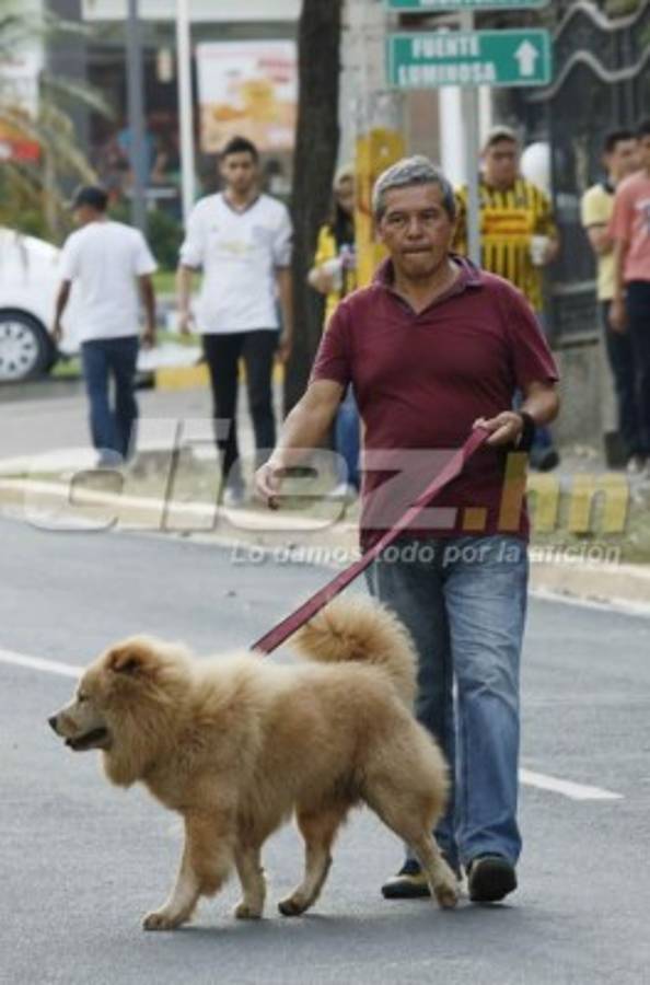 NO SE VIO EN TV: El perro, el colado y el berrinche de Vargas en el Morazán