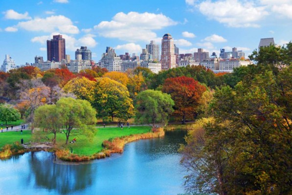 La cuarentena por coronavirus en Nueva York transforma Central Park
