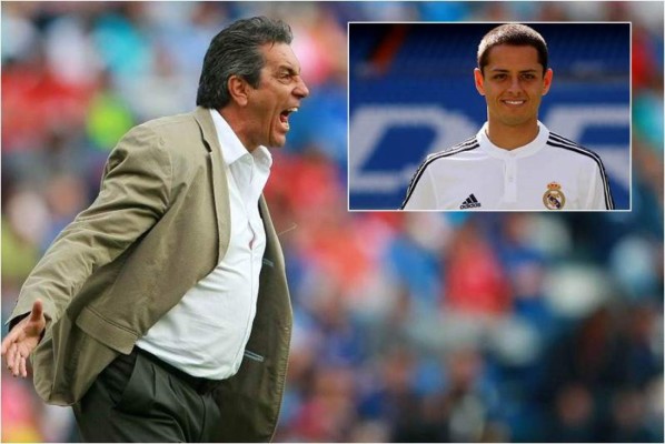 Tomás Boy no se arrepiente de las críticas que hizo contra Chicharito Hernández