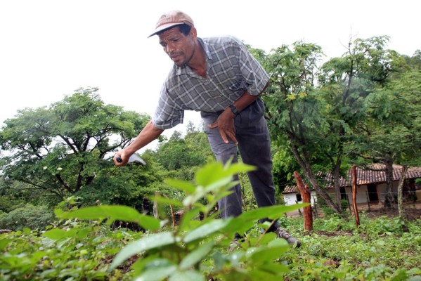 Golfran, el campeón que cultiva frijoles, maíz y maratones