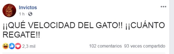 El gato, protagonista de los memes del sufrido triunfo de México ante Bermudas