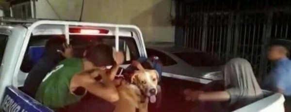 Curiosas fotos que está dejando el toque de queda por coronavirus en Honduras