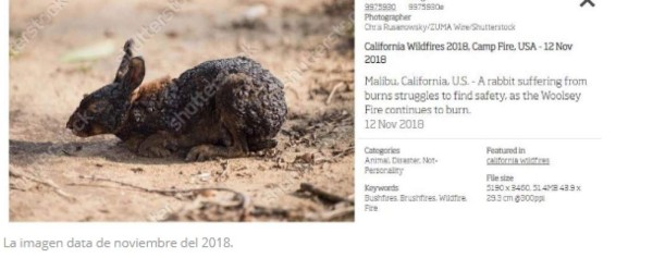 Las fotografías engañosas sobre los incendios que arrasan la Amazonia de Brasil