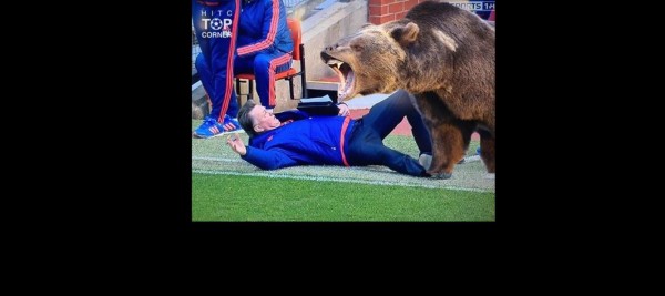 Louis Van Gaal es víctima de divertidos memes tras su simulación de falta en Inglaterra