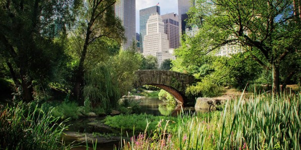 La cuarentena por coronavirus en Nueva York transforma Central Park