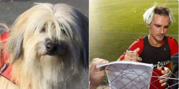 MEMES: Las divertidas comparaciones que desató el nuevo 'look' de Griezmann