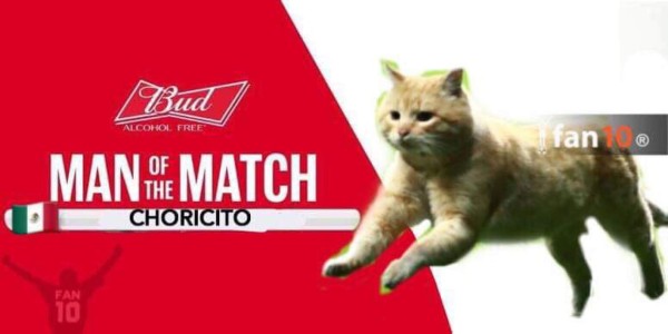 El gato, protagonista de los memes del sufrido triunfo de México ante Bermudas