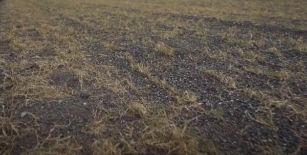 Olimpia muestra nuevas imágenes de cómo avanza la construcción de su sede