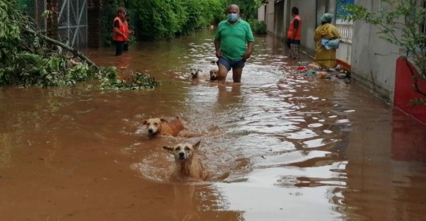 Impactantes imágenes de la tormenta que arrasó en El Salvador y dejó pérdidas humanas