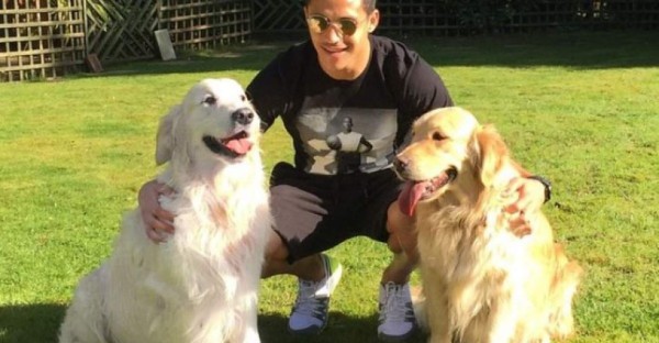 Caso Sturridge: Los futbolistas y su amor a las mascotas; perros, gatos y hasta un cerdito