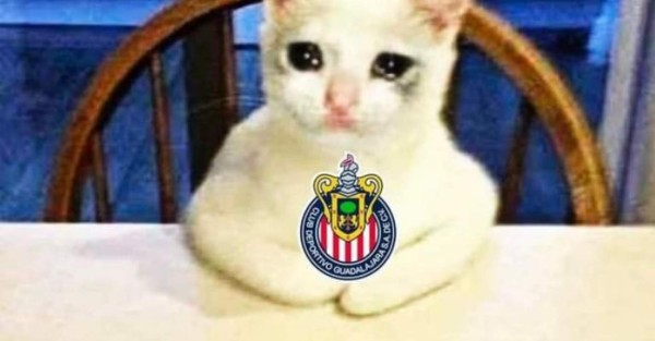 Memes estallan contra el Guadalajara tras caer humillado ante el América en el clásico mexicano