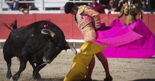 ¡Impactante! Las dolorosas imágenes de como un toro mató a Iván Fandiño