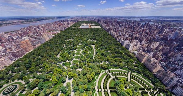 La cuarentena por coronavirus en Nueva York transforma Central Park