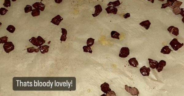 Haaland y su repugnante cena antes de enfrentar al Real Madrid: “Es un bicho raro, nunca he visto a nadie comer como él”