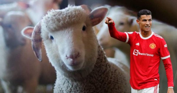 Insólito: el increíble motivo que llevó a Cristiano Ronaldo a mudarse de casa en Mánchester; Así es su nuevo hogar&nbsp;&nbsp;