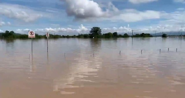 Impactante: El dramático rescate de hondureños que estaban en un árbol tras el paso de Iota