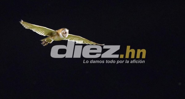 Las imágenes que la televisión no mostró del Honduras-Trinidad y Tobago