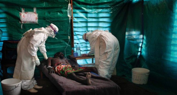 ¡Transmitidos por ratas, monos y aves! Estos son los 10 virus más letales en el mundo