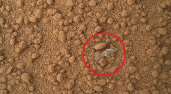 Seres extraños, 'huesos humanos' y animales: la NASA toma perturbadoras imágenes en Marte