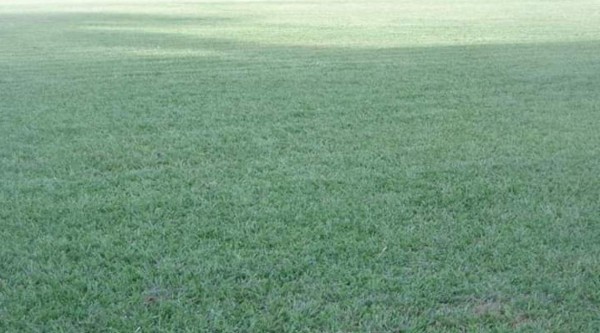 FOTOS: Así luce el Francisco Martínez de Tocoa a un día de su regreso a Liga Nacional