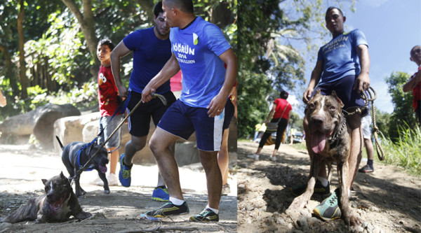 Zeus el 'Tamalero”se robó el show en la DogRun 2014