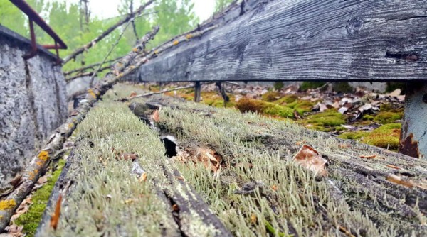 Chernobyl luego de 34 años: El estadio que nunca pudimos ver por la catástrofe en Ucrania